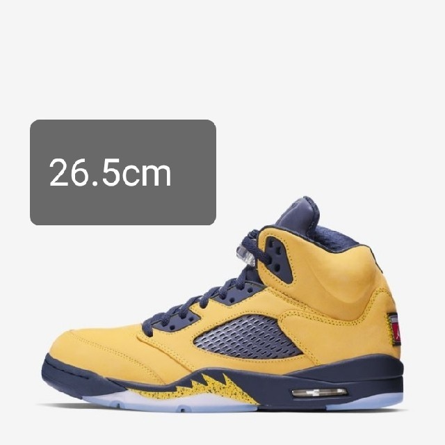 Nike Air Jordan5