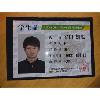 日本ハムファイターズ 谷口雄也 学生証 カードの通販 ラクマ