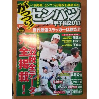 がっつり！センバツ甲子園（2017）(趣味/スポーツ/実用)