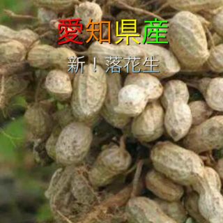 愛知県産  新鮮落花生2キロ(野菜)