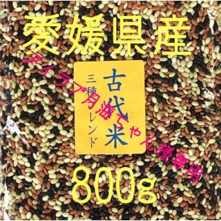 アイラブ月海ちゃん様専用  古代米3種ブレンド　愛媛県産　800ｇ(米/穀物)