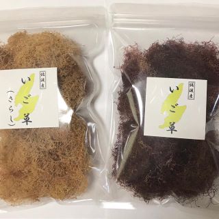 佐渡産　いご草　2kg     えご草　おきうと草