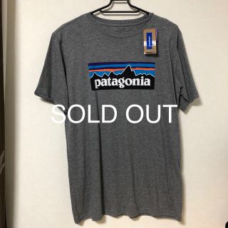 パタゴニア(patagonia)のパタゴニア ジュニアティシャツ(Tシャツ/カットソー)