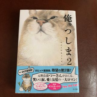 ショウガクカン(小学館)の俺、つしま　2(住まい/暮らし/子育て)