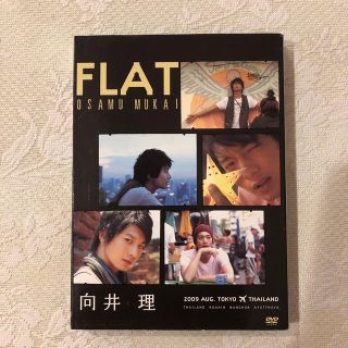 向井理 DVD FLAT(その他)