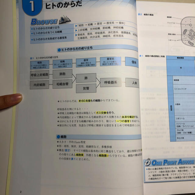 診療放射線技師 ブルー・ノート 基礎編