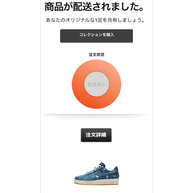 NIKE × Levi's  NIKE BY YOU AirForce1 28㎝