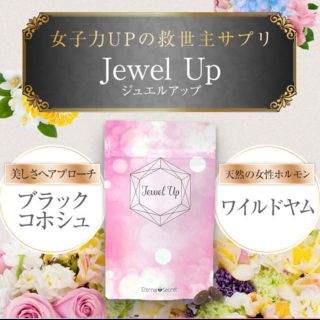 ★キサキ様専用  ジュエルアップ  Jewel up(その他)