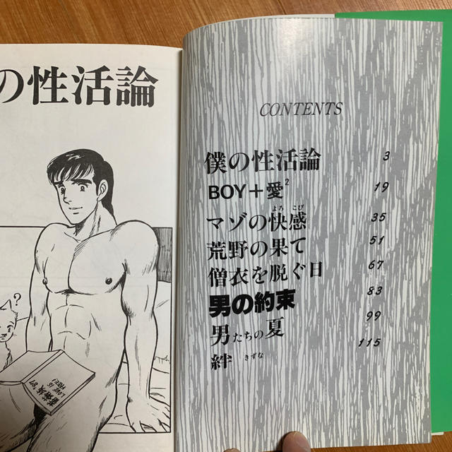 ゲイ BL 薔薇族掲載漫画  ワクワクBOY  山川純一 エンタメ/ホビーの漫画(ボーイズラブ(BL))の商品写真