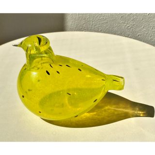 イッタラ(iittala)のストックマン限定 Crazy Days Bird 2003年 イッタラ バード(置物)