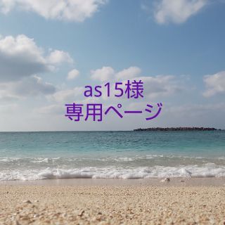 as15様 オーダー品(オーダーメイド)