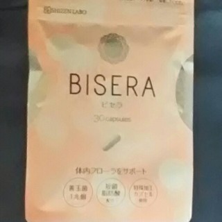 BISERA(その他)