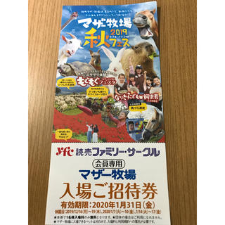 マザー牧場 入園 無料(遊園地/テーマパーク)