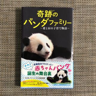 ショウガクカン(小学館)の奇跡のパンダファミリー〜愛と涙の子育て物語〜(その他)