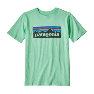 パタゴニア(patagonia)のPatagonia パタゴニア ボーイズTシャツ Lサイズ 新品タグ付き送料込(Tシャツ(半袖/袖なし))