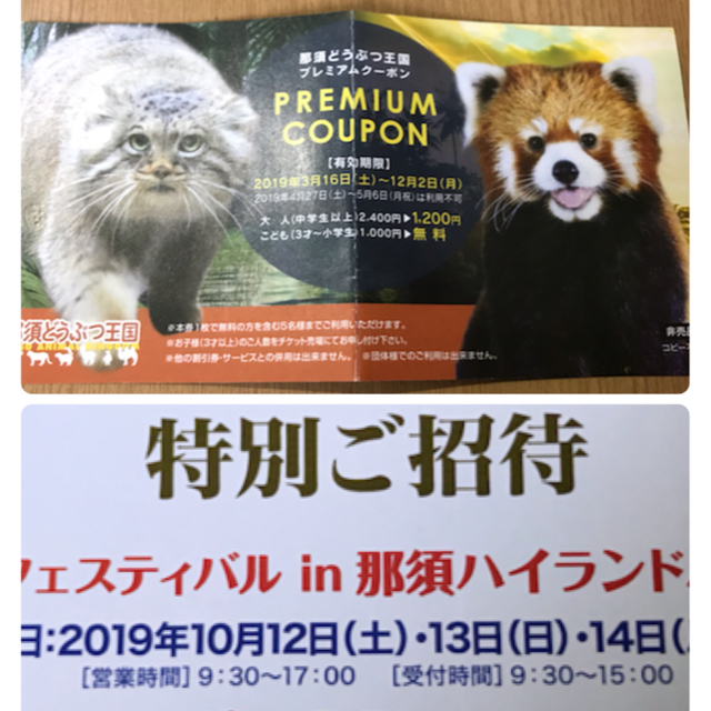 那須どうぶつ王国割引＋那須ハイランドパーク(おまけ) チケットの施設利用券(動物園)の商品写真