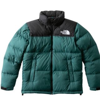 ザノースフェイス(THE NORTH FACE)のthe north face ヌプシダウン 2018(ダウンジャケット)