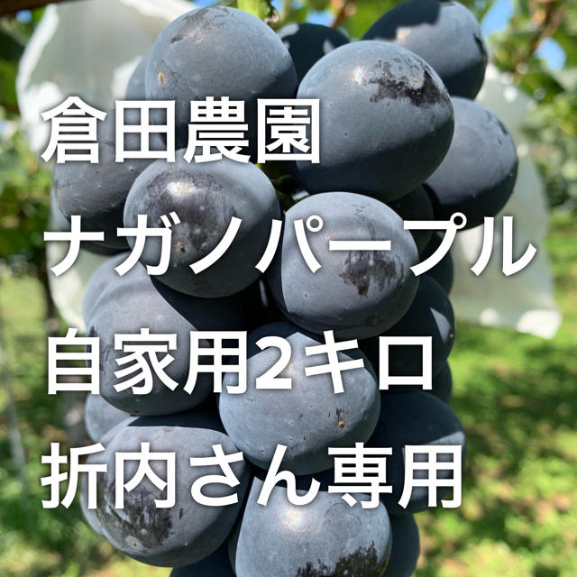 倉田農園 ナガノパープル 自家用2キロ 折内さん専用 食品/飲料/酒の食品(フルーツ)の商品写真