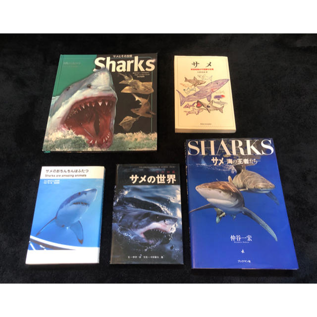 サメ 図鑑 本セット 100円相当 の通販 By Ken ラクマ サメ 図鑑 本セット 100円相当 の通販 By Ken ラクマ
