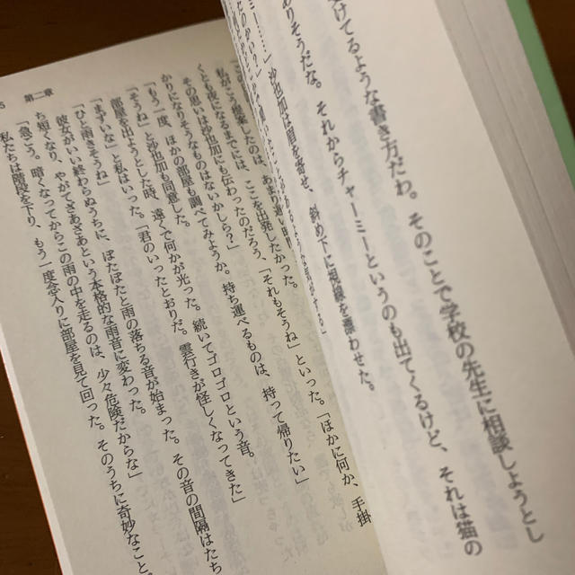 講談社(コウダンシャ)の⭐︎お値引き⭐︎むかし僕が死んだ家(美品) エンタメ/ホビーの本(文学/小説)の商品写真