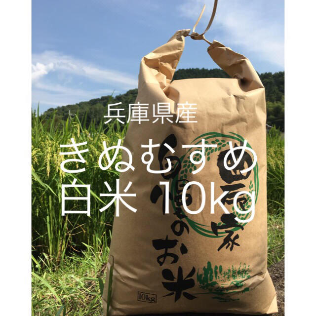 兵庫県産 きぬむすめ 白米 10kg