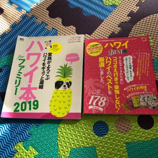 エイシュッパンシャ(エイ出版社)の専用商品ですお値下げハワイ本2019 ファミリー ハワイ the best(地図/旅行ガイド)