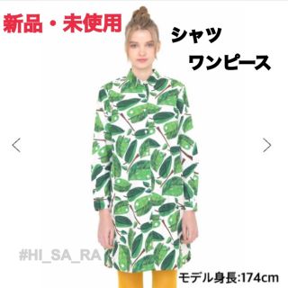 グラニフ(Design Tshirts Store graniph)のエリックカール　グラニフ シャツワンピース　ロングシャツ　はらぺこあおむし(ひざ丈ワンピース)