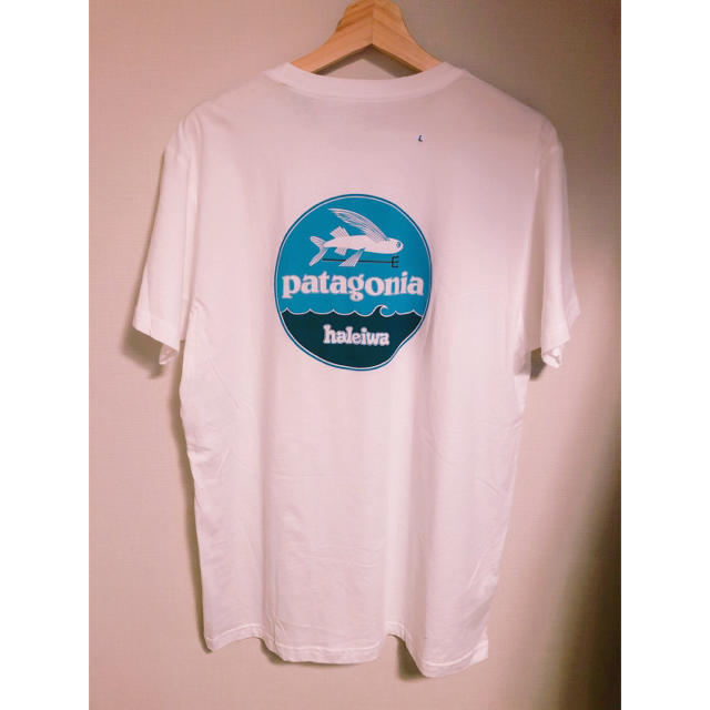 patagonia(パタゴニア)のパタゴニアのTシャツ メンズのトップス(Tシャツ/カットソー(半袖/袖なし))の商品写真
