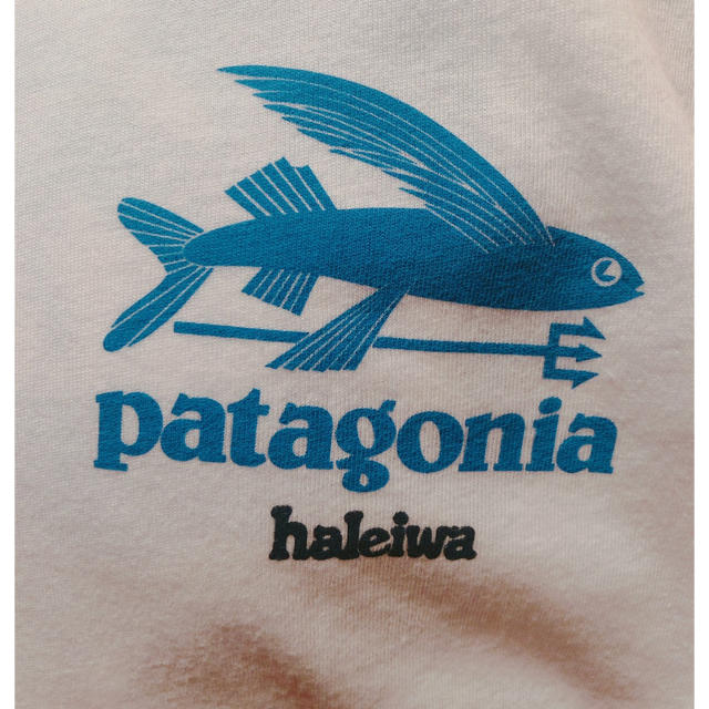 patagonia(パタゴニア)のパタゴニアのTシャツ メンズのトップス(Tシャツ/カットソー(半袖/袖なし))の商品写真