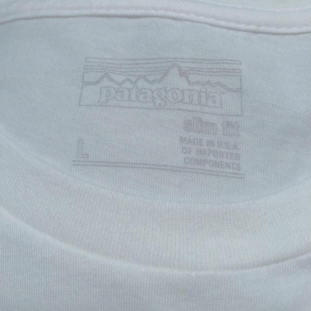 patagonia(パタゴニア)のパタゴニアのTシャツ メンズのトップス(Tシャツ/カットソー(半袖/袖なし))の商品写真