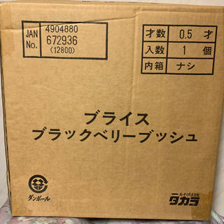 タカラトミー(Takara Tomy)の『新品未開封』CWC限定 3000体 ブラックベリーブッシュ(人形)