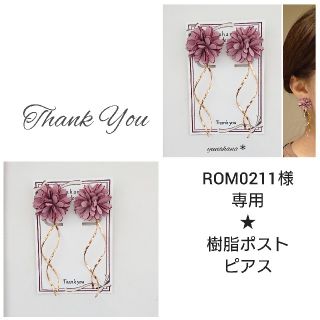 ROM0211様専用です☆(ピアス)