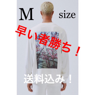 フィアオブゴッド(FEAR OF GOD)のEssentials Photo Long Sleeve T-Shirt(Tシャツ/カットソー(七分/長袖))
