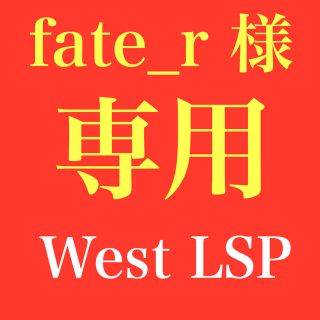 West LSP シリンダー(専用ページ)(その他)