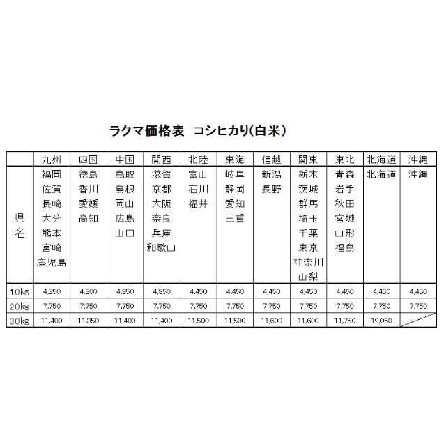 10㎏　令和元年　白米　愛媛県産コシヒカリ　お米　米/穀物