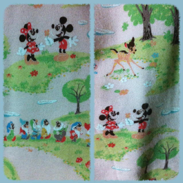 Disney(ディズニー)の♡ディズニーキャラクターパーカ♡ レディースのトップス(パーカー)の商品写真