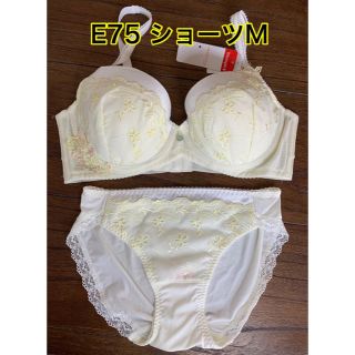 トリンプ(Triumph)のトリンプ アモスタイル ブラショーツセット E75(ブラ&ショーツセット)