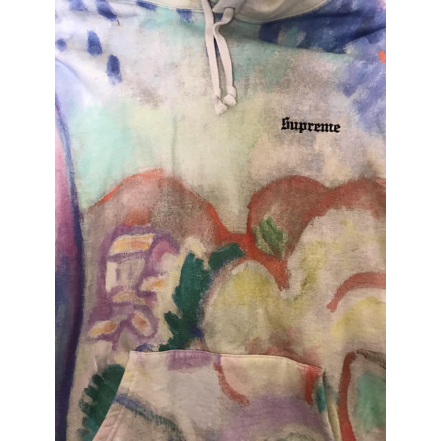 supreme landscape hooded sweat shirt