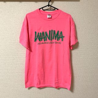 ワニマ(WANIMA)のMANIMA グッズ(pizza  of death)(ミュージシャン)