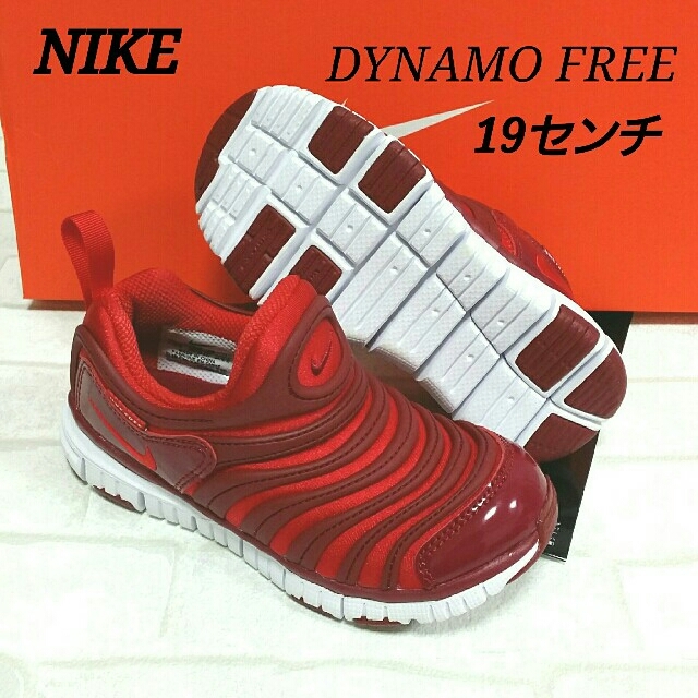 NIKE(ナイキ)のNIKE 19センチ キッズスニーカー 運動靴 ダイナモフリー 大人気 入学 キッズ/ベビー/マタニティのキッズ靴/シューズ(15cm~)(スニーカー)の商品写真