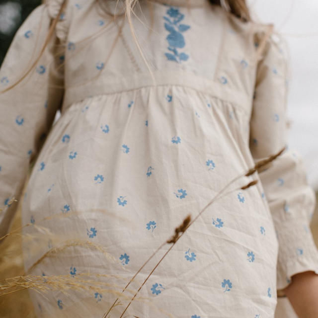 即納♡  apolina  19AW刺繍ワンピース キッズ/ベビー/マタニティのキッズ服女の子用(90cm~)(ワンピース)の商品写真