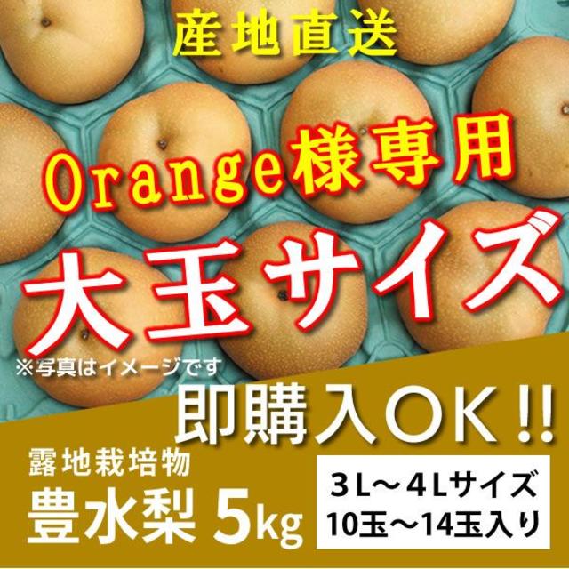 Orange様専用【大玉サイズ】朝もぎの豊水梨5kg 食品/飲料/酒の食品(フルーツ)の商品写真