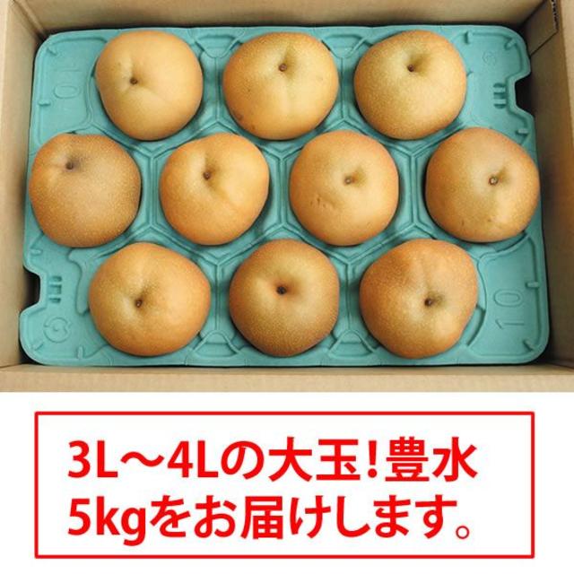 Orange様専用【大玉サイズ】朝もぎの豊水梨5kg 食品/飲料/酒の食品(フルーツ)の商品写真