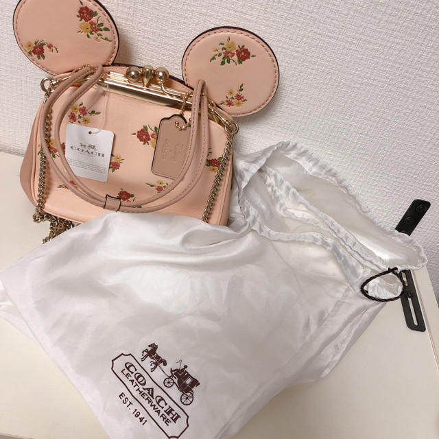 COACH(コーチ)のcoach ミニーちゃんバッグ レディースのバッグ(ショルダーバッグ)の商品写真