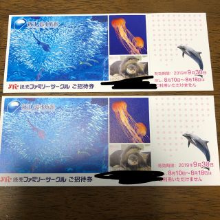 新江ノ島水族館 ご招待券 2枚セット(水族館)