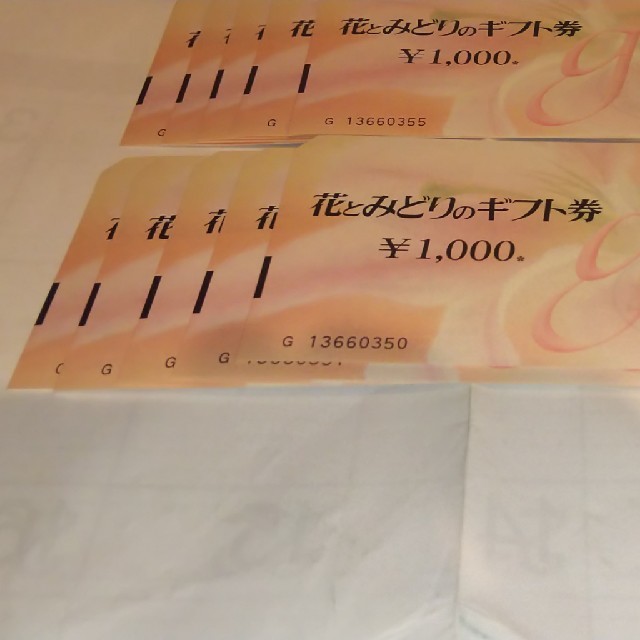 花とみどりのギフト 10000円分