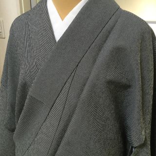 単衣 洗える着物 江戸小紋(着物)