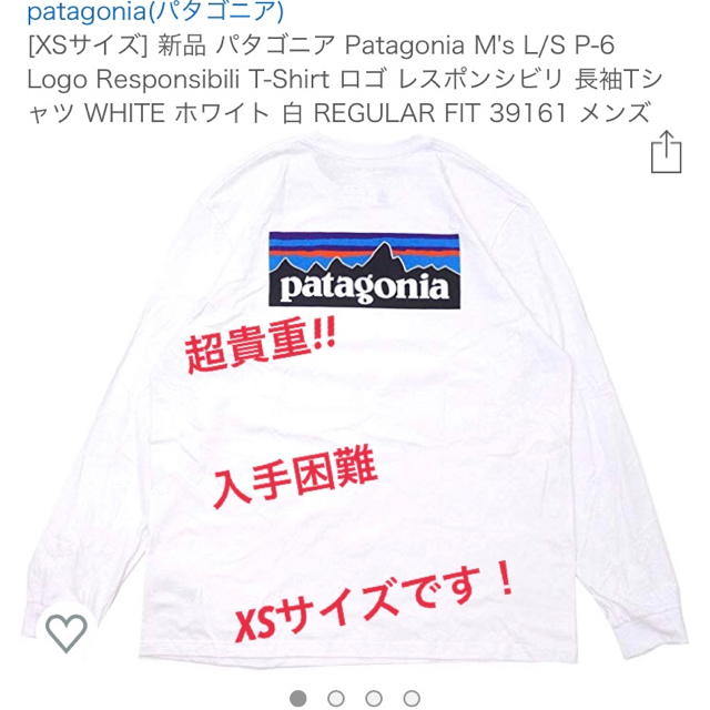 Patagonia（パタゴニア） Tシャツ 長袖 xs 服