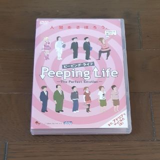 ピーピングライフ DVD(アニメ)