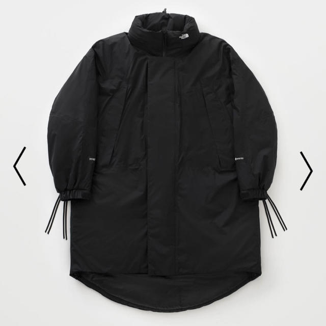 THE NORTH FACE(ザノースフェイス)のGTX Monster Parka hyke the north face メンズのジャケット/アウター(モッズコート)の商品写真